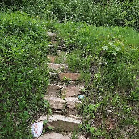 Mezi Stromy Apartment Rokytnice nad Jizerou