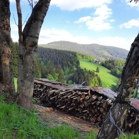 Mezi Stromy Apartment Rokytnice nad Jizerou