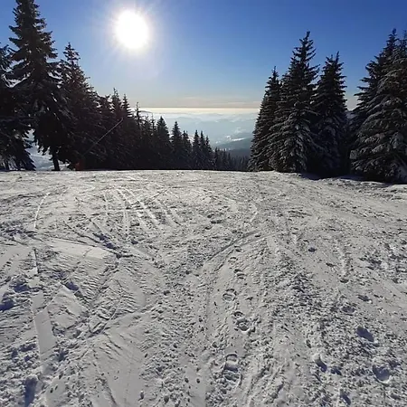 Mezi Stromy Διαμέρισμα Rokytnice nad Jizerou