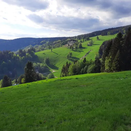 Mezi Stromy Rokytnice nad Jizerou