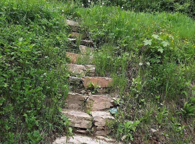Mezi Stromy Διαμέρισμα Rokytnice nad Jizerou
