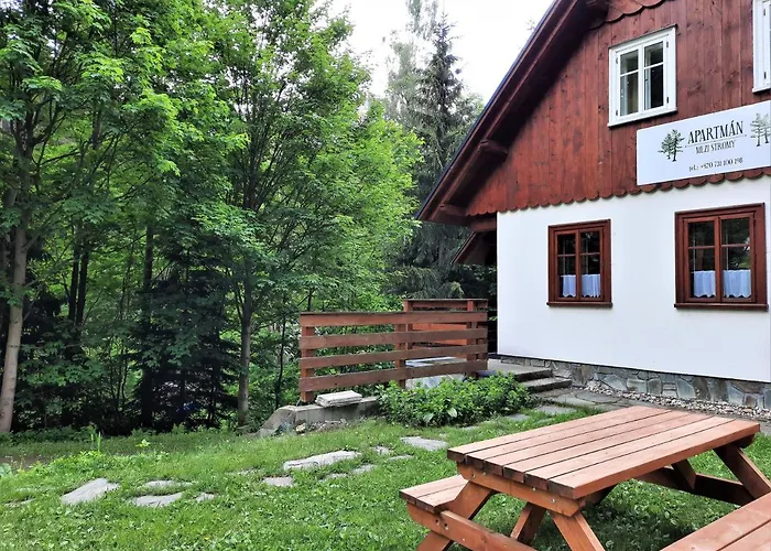 Mezi Stromy Rokytnice nad Jizerou