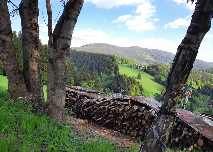 Mezi Stromy 아파트 로끼뜨니쩨나드이제로우