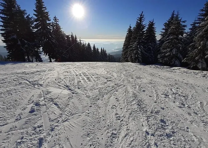 Mezi Stromy Διαμέρισμα Rokytnice nad Jizerou